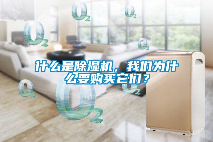 什么是除濕機，我們?yōu)槭裁匆徺I(mǎi)它們？