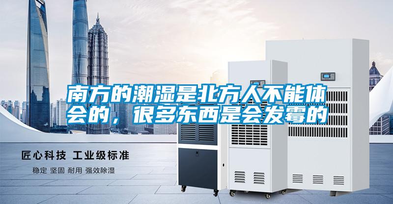 南方的潮濕是北方人不能體會(huì )的，很多東西是會(huì )發(fā)霉的