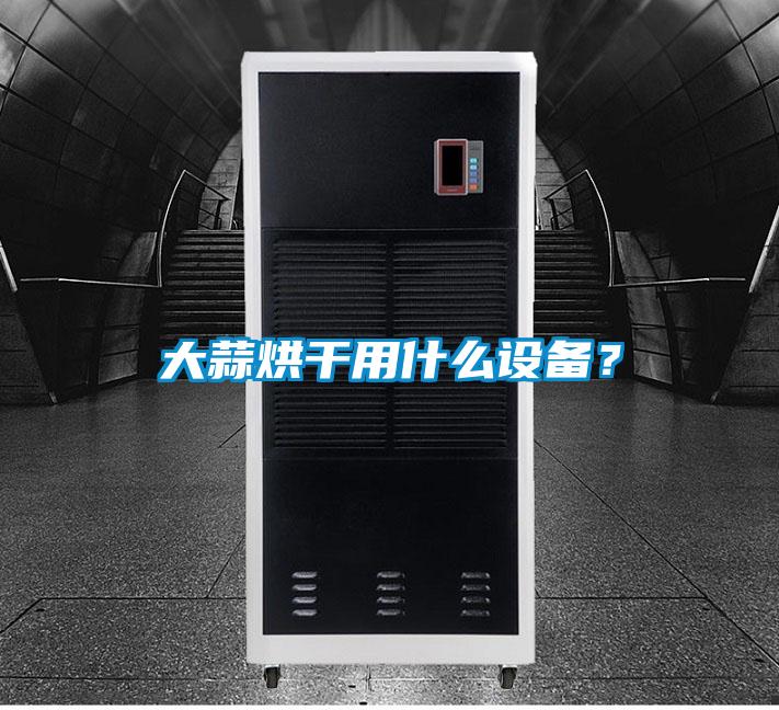 大蒜烘干用什么設備？