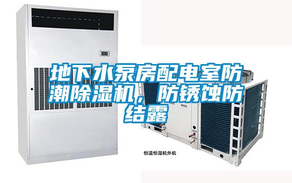 地下水泵房配電室防潮除濕機，防銹蝕防結露