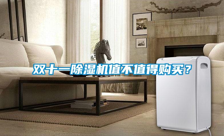 雙十一除濕機值不值得購買(mǎi)？