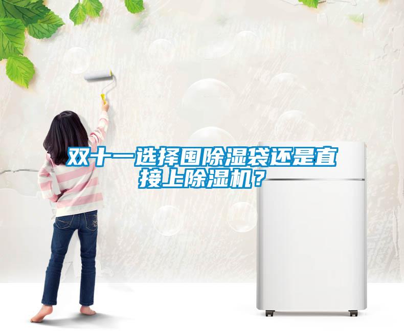 雙十一選擇囤除濕袋還是直接上除濕機？