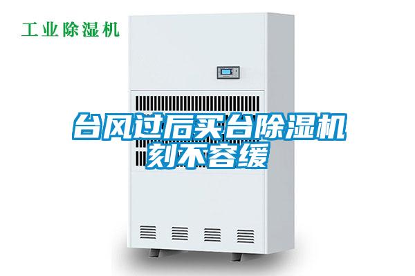 臺風(fēng)過(guò)后買(mǎi)臺除濕機刻不容緩
