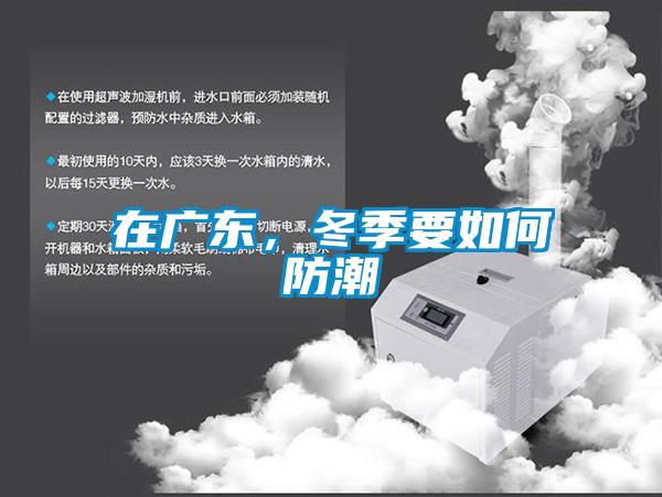 在廣東，冬季要如何防潮