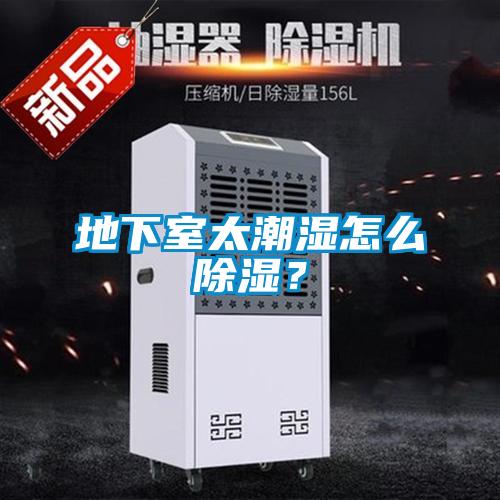 地下室太潮濕怎么除濕？