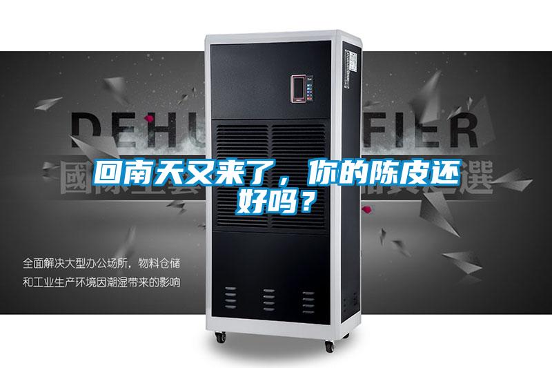 回南天又來(lái)了，你的陳皮還好嗎？