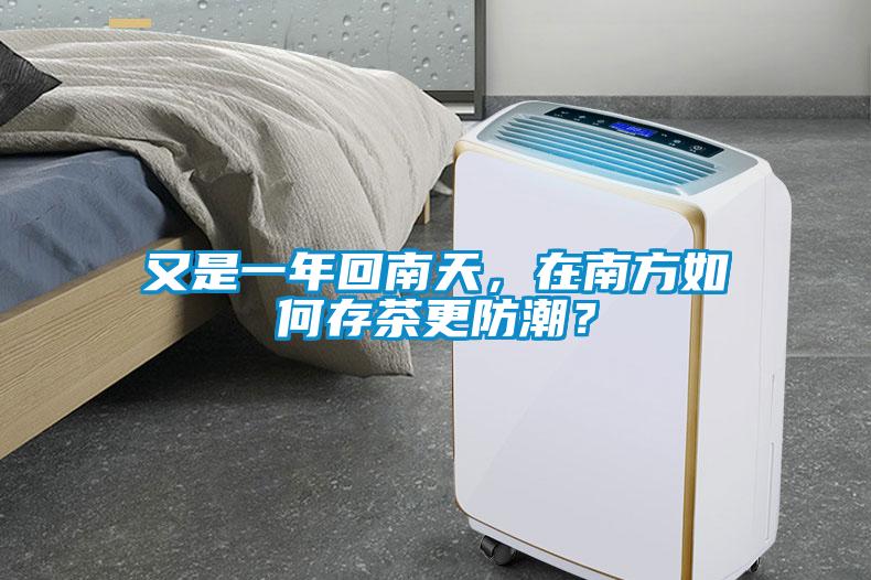 又是一年回南天，在南方如何存茶更防潮？