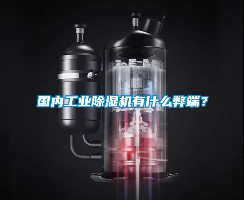 國內工業(yè)除濕機有什么弊端？