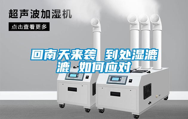 回南天來(lái)襲 到處濕漉漉 如何應對