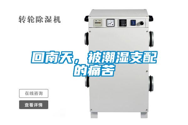 回南天，被潮濕支配的痛苦
