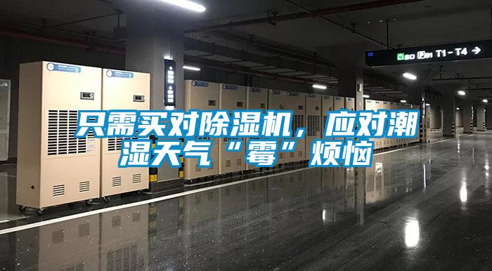只需買(mǎi)對除濕機，應對潮濕天氣“霉”煩惱