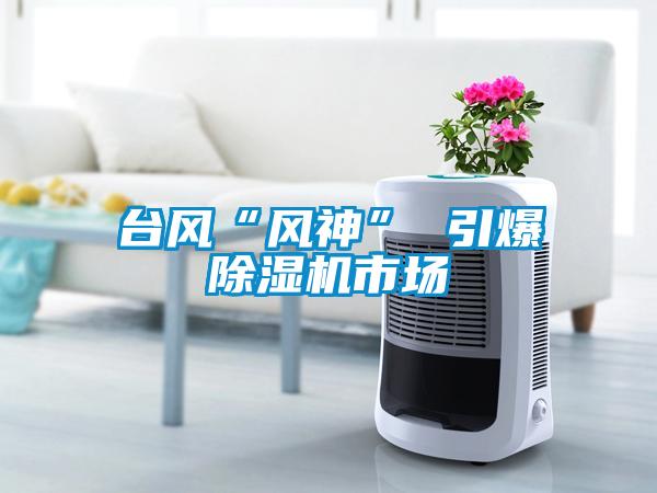 臺風(fēng)“風(fēng)神” 引爆除濕機市場(chǎng)