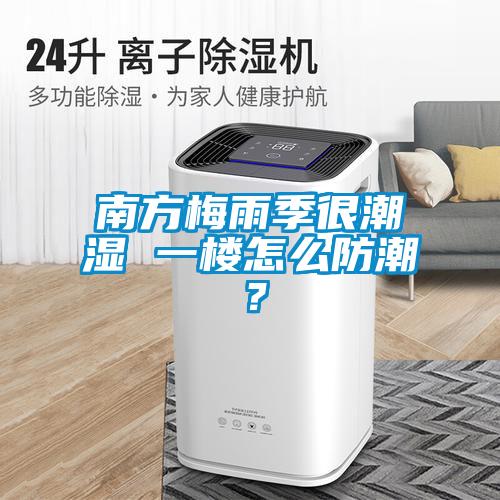 南方梅雨季很潮濕 一樓怎么防潮？
