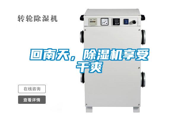 回南天，除濕機享受干爽