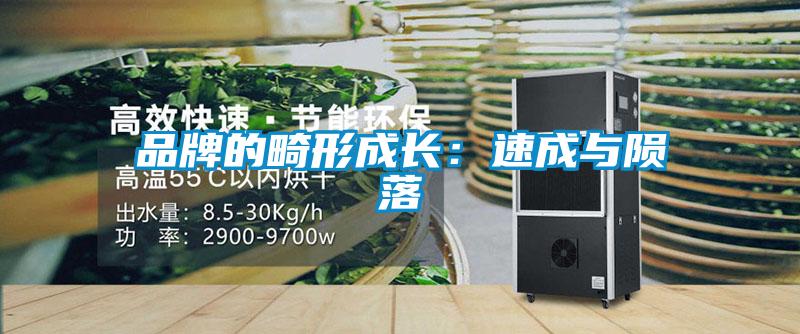 品牌的畸形成長(cháng)：速成與隕落