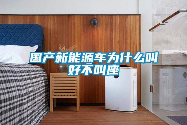 國產(chǎn)新能源車(chē)為什么叫好不叫座