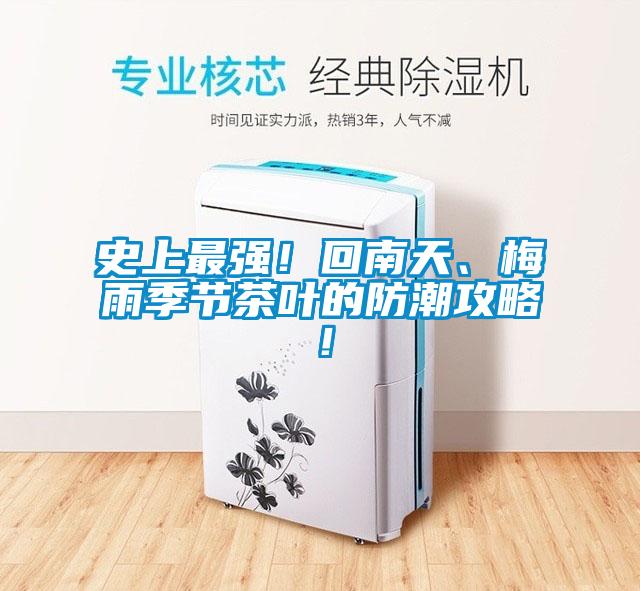 史上最強！回南天、梅雨季節茶葉的防潮攻略！