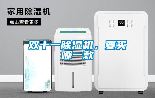 雙十一除濕機，要買(mǎi)哪一款