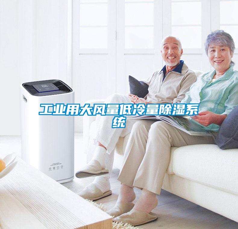 工業(yè)用大風(fēng)量低冷量除濕系統