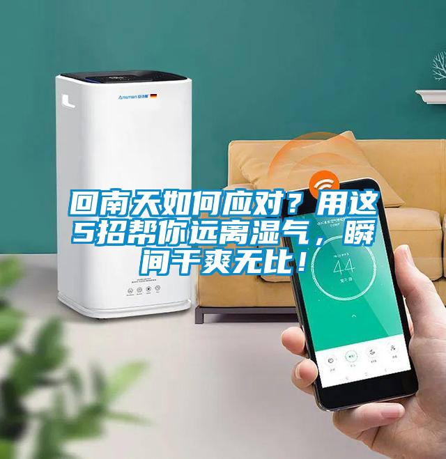 回南天如何應對？用這5招幫你遠離濕氣，瞬間干爽無(wú)比！