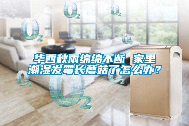 華西秋雨綿綿不斷 家里潮濕發(fā)霉長(cháng)蘑菇了怎么辦？