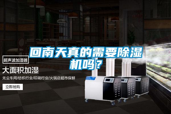 回南天真的需要除濕機嗎？