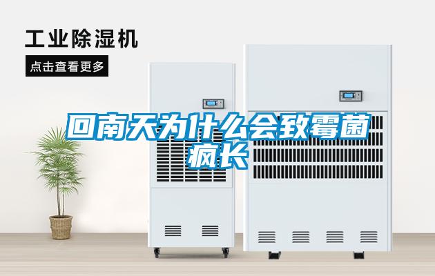 回南天為什么會(huì )致霉菌瘋長(cháng)