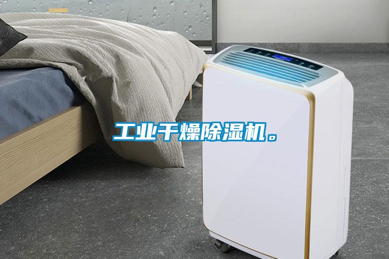 工業(yè)干燥除濕機。
