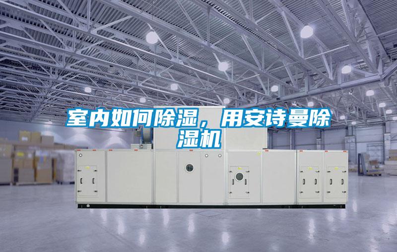 室內如何除濕，用安詩(shī)曼除濕機