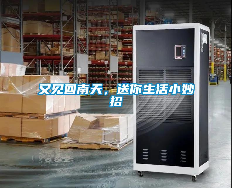 又見(jiàn)回南天，送你生活小妙招
