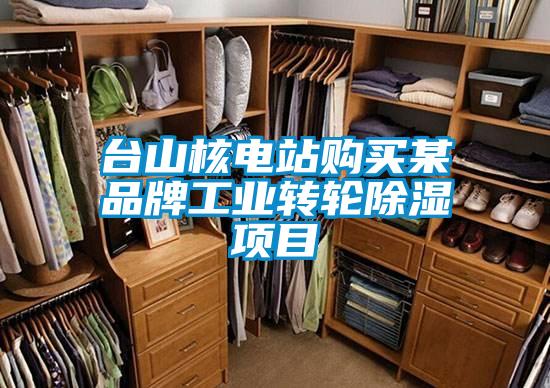 臺山核電站購買(mǎi)某品牌工業(yè)轉輪除濕項目