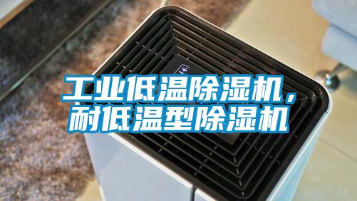 工業(yè)低溫除濕機，耐低溫型除濕機