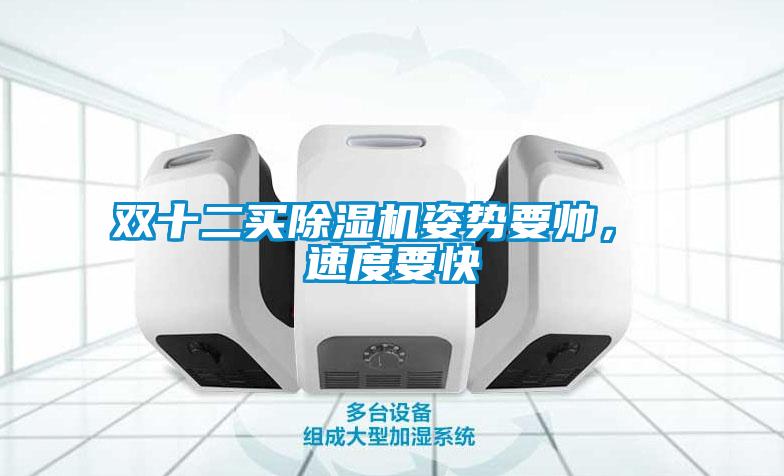 雙十二買(mǎi)除濕機姿勢要帥， 速度要快