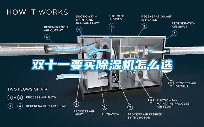雙十一要買(mǎi)除濕機怎么選