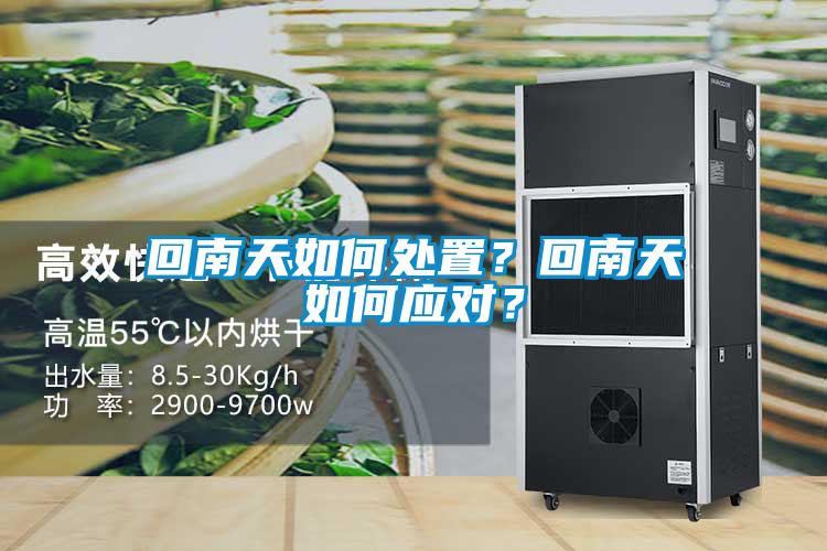 回南天如何處置？回南天如何應對？