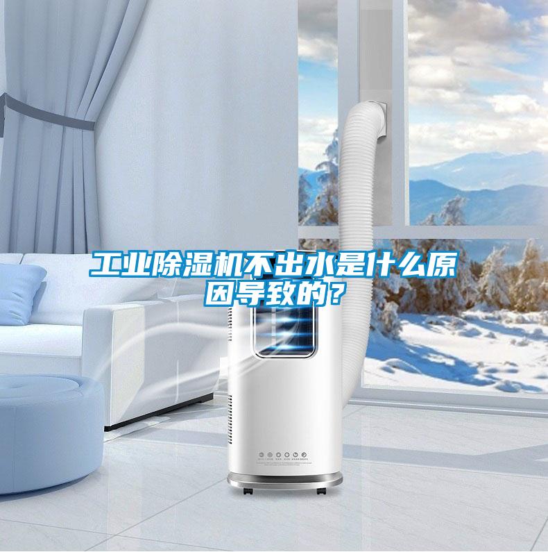 工業(yè)除濕機不出水是什么原因導致的？