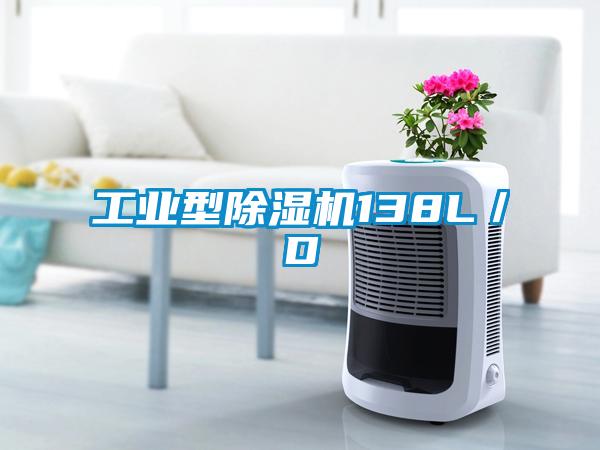 工業(yè)型除濕機138L/D