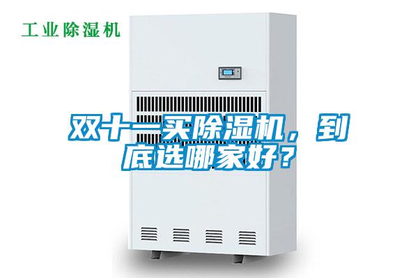 雙十一買(mǎi)除濕機，到底選哪家好？