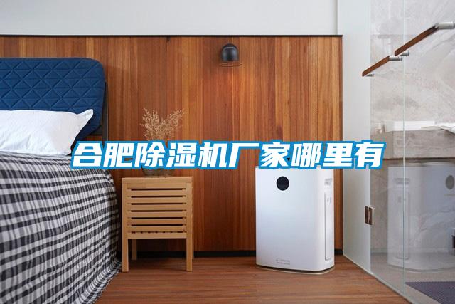 合肥除濕機廠(chǎng)家哪里有