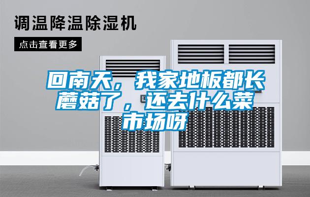 回南天，我家地板都長(cháng)蘑菇了，還去什么菜市場(chǎng)呀