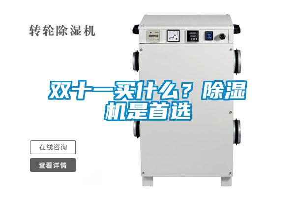 雙十一買(mǎi)什么？除濕機是首選