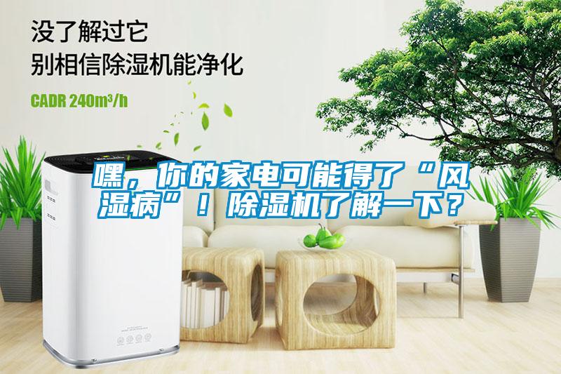 嘿，你的家電可能得了“風(fēng)濕病”！除濕機了解一下？