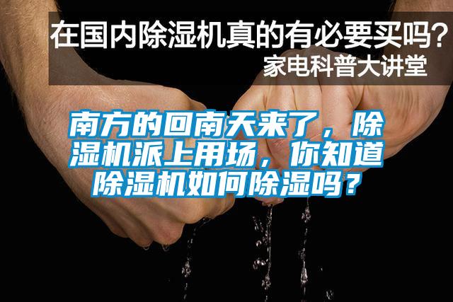 南方的回南天來(lái)了，除濕機派上用場(chǎng)，你知道除濕機如何除濕嗎？