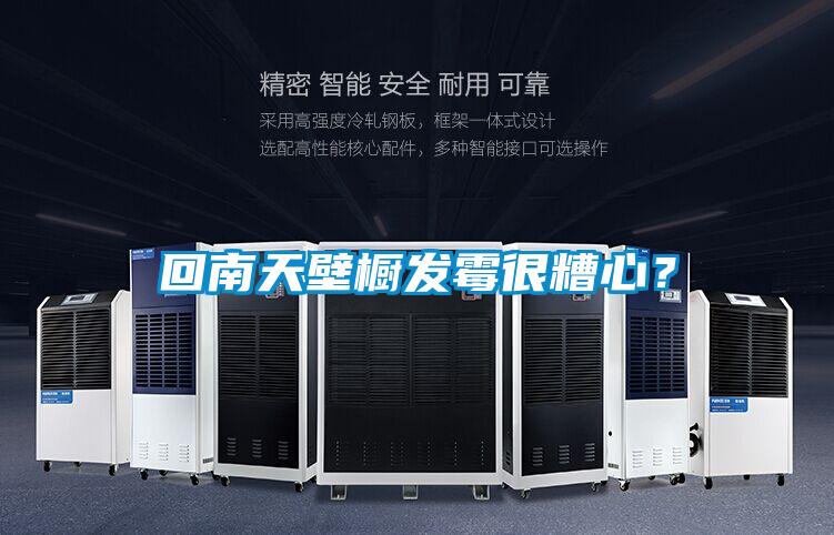 回南天壁櫥發(fā)霉很糟心？