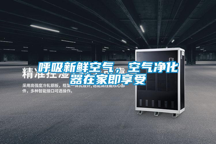 呼吸新鮮空氣，空氣凈化器在家即享受