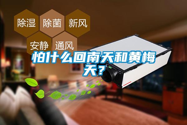 怕什么回南天和黃梅天？