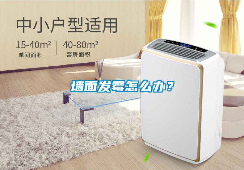 墻面發(fā)霉怎么辦？