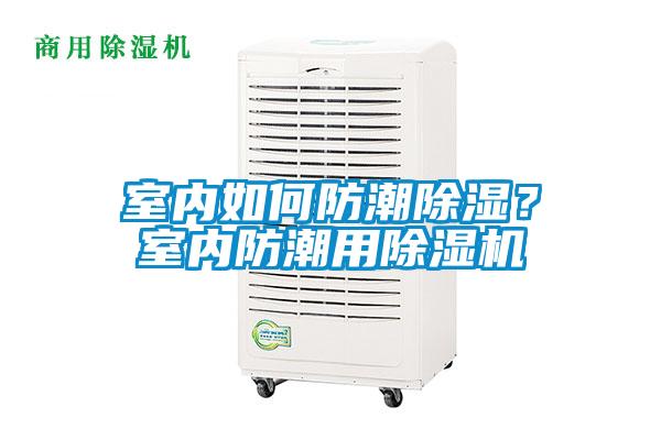 室內如何防潮除濕？室內防潮用除濕機