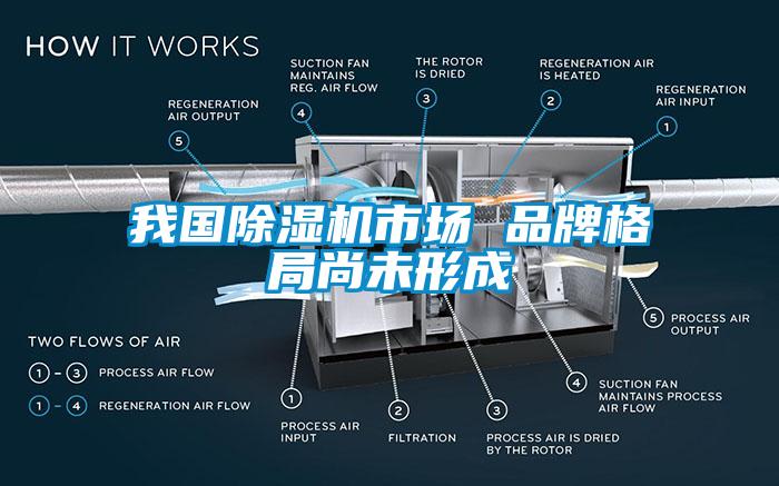 我國除濕機市場(chǎng) 品牌格局尚未形成