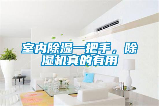 室內除濕一把手，除濕機真的有用